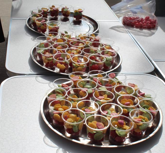 drag4608866188420358070