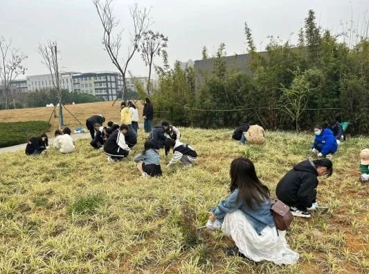 一群小孩在草地上描述已自动生成