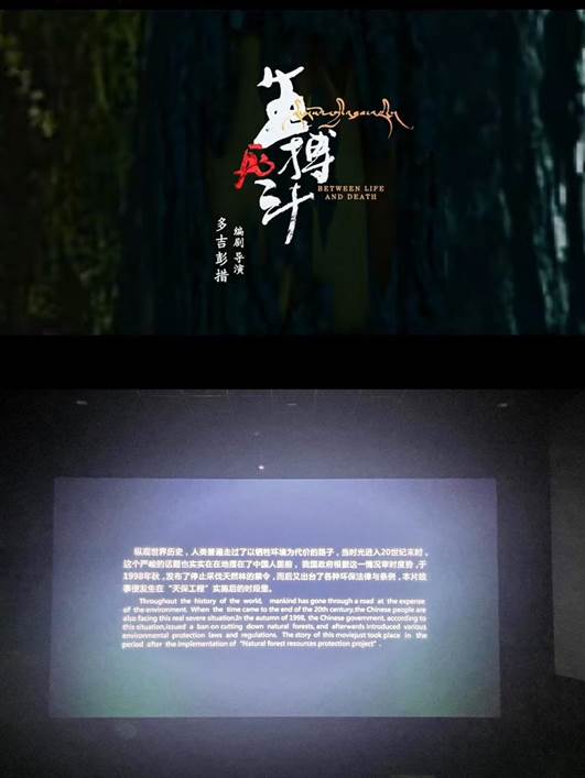 QQ图片20250701103104