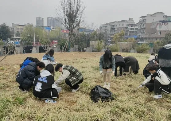 一群人躺在草地上描述已自动生成