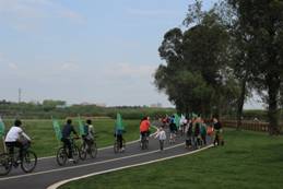 QQ图片20160410211913