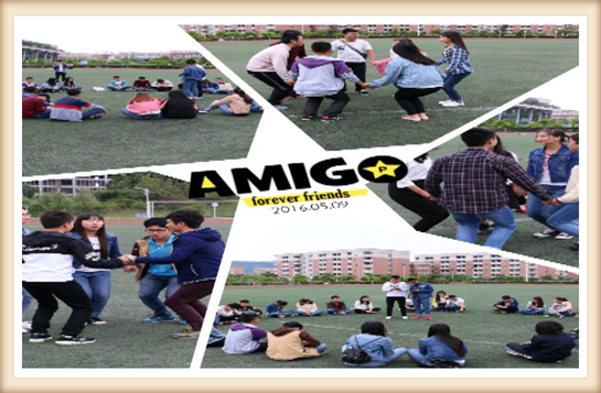 773B6B431616D7218BA6F37E3382989C