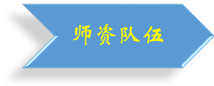 师资队伍