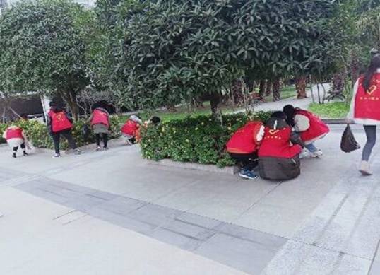 QQ图片20191202102549