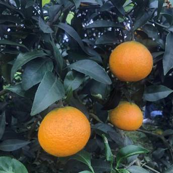 微信图片_20180928084440