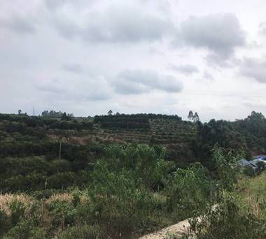 微信图片_20180928090620