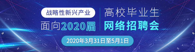 2020网络招聘会